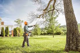 Best Tree Health Inspection  in Kinston, NC